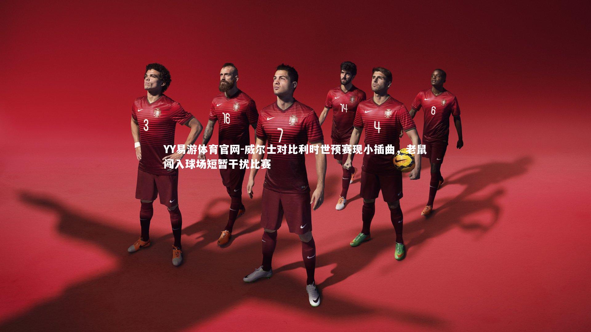 威尔士对比利时世预赛现小插曲，老鼠闯入球场短暂干扰比赛