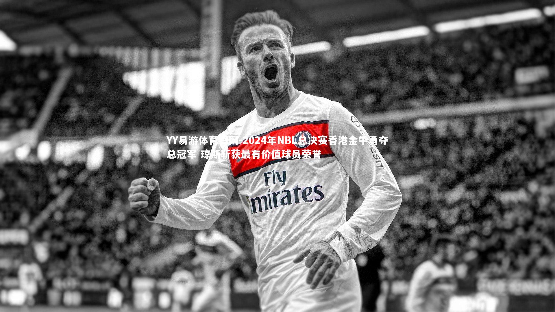 YY易游体育官网-2024年NBL总决赛香港金牛勇夺总冠军 琼斯斩获最有价值球员荣誉